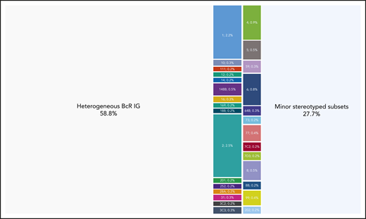 Cases assigned to major stereotyped subsets represent a significant portion of CLL. Twenty-nine different subsets were identified in the present study containing a minimum of 60 cases (0.2% of the cohort) and were defined as major. The relative size of each major subset is indicated in the graph. Their basic immunogenetic information is given in supplemental Table 4; all sequences assigned to each major subset are listed in supplemental Table 5. Altogether, major subsets comprised in total 4098 of 30 413 rearrangements that corresponds to the 13.5% of the cohort.