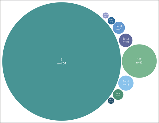 Major subset #2 and its close immunogenetic relatives (satellite subsets). Stereotyped subset #2 had 8 satellite subsets with the most frequent being subset #169, also characterized as major. The remaining satellite subsets were minor and cumulatively accounted for 44 BcR immunoglobulin sequences. Subset #2 satellite full names are the following: #164 (Sat-1), #2B (Sat-2), V3-30|9|1 (Sat-3), V3|11|42 (Sat-4), V3-74|8|1 (Sat-5), V3-48|7|1 (Sat-6), and V3|10|25 (Sat-7).