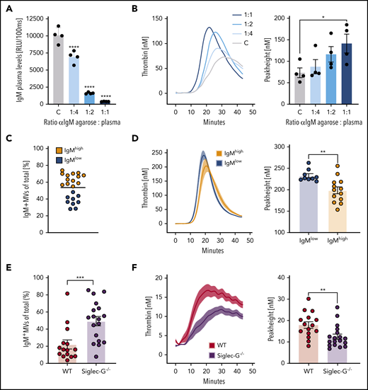 Endogenous IgM antibodies decrease MV-dependent TG. (A) Chemiluminescent enzyme-linked immunosorbent assay of plasma IgM levels after depletion of free IgM from pooled EV-free human plasma with increasing amounts of anti–human IgM/agarose beads. (B) TG curves and peak heights of IgM-depleted MV-free plasma triggered by addition of platelet-derived MVs. Plots depict representative experiment of n = 4. Bars represent mean ± SEM of each group. *P < .05, ****P < .001, two-way analysis of variance with Bonferroni’s multiple comparisons test. (C) Percentages of IgM+ MVs within annexin V–positive events isolated from plasma of healthy volunteers (n = 22) measured by using flow cytometry. Groups were divided into MV IgMlow and MV IgMhigh based on the mean percentage (horizontal bar). (D) Comparison of the procoagulatory potential of IgMlow and IgMhigh MV average TG curves and peak heights of pooled MV-depleted plasma reconstituted with isolated IgMlow (n = 9) and IgMhigh (n = 13) MVs. Columns and error bars or solid lines and light-colored areas represent the mean ± SEM of each group. (E) Percentages of IgM+ MVs of WT (n = 15) and Siglec-G−/− (n = 18) mice within annexin V–positive events measured by flow cytometry. Bars represent mean ± SEM. (F) Spontaneous TG of platelet-poor plasma from WT and Siglec-G−/− mice. Average TG curves and peak heights of pooled platelet-poor plasma of WT vs Siglec-G−/− mice. Columns and error bars or solid lines and light-colored areas represent the mean ± SEM of each group. (D-F) **P < .01, ***P < .005, Mann-Whitney U test. RLU, relative light units.