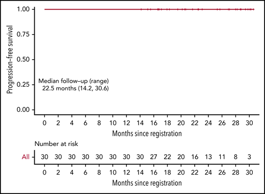 Kaplan-Meier estimate of PFS. Median follow-up 22.5 months (range, 14.2-30.6). OS is identical and not shown.