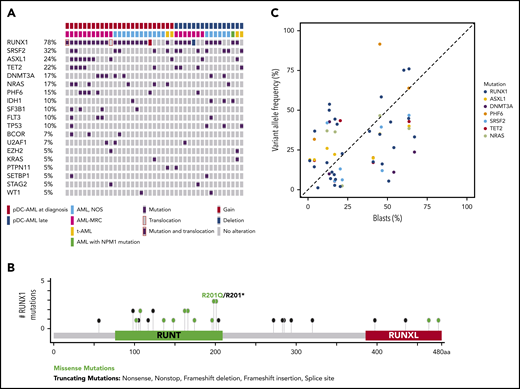 RUNX1 mutations in pDC-AML. (A) Oncoplot of mutations in pDC-AML. (B) Lollipop graph of RUNX1 mutations in pDC-AML. (C) VAF of the major mutations compared with blast percentages. AML, NOS, AML not otherwise specified; AML-MRC, AML with myelodysplasia-related changes; t-AML: therapy-related AML.