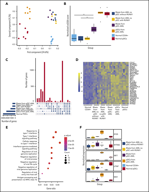Leukemic blasts from pDC-AML upregulate a pDC transcriptional program. (A) Principal component analysis of gene expression in normal marrow CD34+ cells, normal pDCs, pDCs from pDC-AML, blasts from pDC-AML, blasts from AML without RUNX1 mutations or pDC expansion, and blasts from AML with RUNX1 mutations but no pDC expansion. (B) pDC transcriptional program, as evaluated by normalized single sample GSEA scores for each group. Scores are calculated based on expression levels of pDC genes. (C) Upset plot displaying overlap of upregulated genes among blasts from pDC-AML, blasts from AML without RUNX1 mutations or pDC expansion, and blasts from AML with RUNX1 mutations but no pDC expansion, pDCs from pDC-AML, and normal pDCs. All groups are compared with normal marrow CD34+ cells. (D) Heat map showing the 30 upregulated genes shared among blasts from pDC-AML, blasts from AML with RUNX1 mutations but no pDC expansion, and normal pDCs but not with blasts from AML without RUNX1 mutations or pDC expansion. (E) Gene ontology analysis showing upregulated pathways in blasts from pDC-AML compared with normal marrow CD34+ cells. (F) Expression levels of a subset of IFN-related genes upregulated in pDC-AML. These genes are also among the subset of genes depicted in panel D. **P < .01.