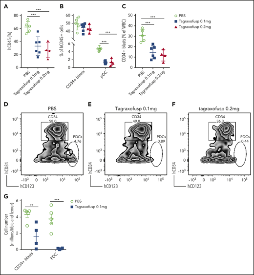 Tagraxofusp treatment results in significant reduction of leukemic blasts and pDCs in vivo. (A-C) BM cells harvested from primary NSG mice were injected IV into secondary NSG mice. The mice were treated by intraperitoneal injection for 1 cycle with PBS, tagraxofusp 0.1 mg/kg per day, or 0.2 mg/kg per day. (A) One week after the last dose, hCD45+ cells were examined in peripheral blood. (B) Leukemic blasts and pDC proportions are shown in hCD45+ compartments. (C) CD34+ leukemic blast proportions in total white blood cells (WBC) were also evaluated. Data are mean ± SD. (D-F) Representative flow plots show leukemic blasts and pDCs after treatment with PBS (D), tagraxofusp 0.1 mg/kg per day (E), or tagraxofusp 0.2 mg/kg per day (F). (G) BM cells were harvested from mice treated with PBS or tagraxofusp 0.1 mg/kg per day. CD34+ leukemic blasts and pDCs were enumerated. **P < .01, ***P < .001.