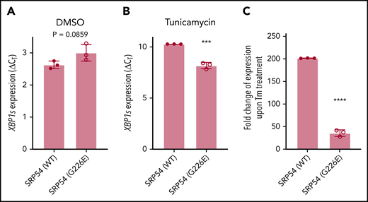XBP1 splicing defects are conserved in human HL-60 cells with mutant SRP54 expression. (A) ΔCT values for XBP1s expression of DMSO-treated SRP54 (WT) transduced HL-60 cells compared with SRP54 (G226E) transduced HL-60 cells measured by qRT-PCR. (B) ΔCT values for XBP1s for Tm-treated SRP54 (WT) compared with SRP54 (G226E) transduced HL-60 cells measured by qRT-PCR. (C) Fold change of XBP1s expression upon Tm treatment compared with DMSO treatment of SRP54 (WT) and SRP54 (G226E) transduced HL-60 cells. We used 3 biological replicates. Student t test was used for statistical analysis. ***P < .005; ****P < .0001. Bar plots represent the mean value of the replicates. Error bars indicate the standard deviation of the mean.