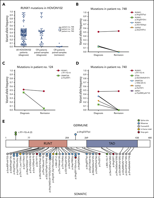 RUNX1 mutations detected in the HOVON102 cohort of AML patients. (A) Variant allele frequencies (VAFs) of all RUNX1 mutations in the entire HOVON102 cohort at diagnosis (n = 142 in 115/763 patients), VAFs of all RUNX1 mutations in the subcohort of patients who attained complete remission (CR), and for whom paired samples were available, at diagnosis and at remission (n = 48 in 37/287 patients). (B-D) VAFs of all mutations of patients no. 748, no. 124, and no. 740, at diagnosis and during remission. (E) Visualization of the 48 RUNX1 mutations identified in the 37 paired samples from CR patients, annotated to NM_001754.5 (supplemental Table 2). *, stop codon; (2), identical variant is identified in 2 different patients; Gln/Glu, the nucleotide at this location is mutated in 2 patients, changing to Gln and Glu, respectively; indel, insertion or deletion; RUNT, runt homology domain; TAD, transactivation domain.