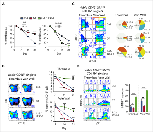 Short-term, selective Treg depletion or expansion alters thrombus resolution and monocyte differentiation. (A) DT-mediated Treg depletion (days 8, 9, and 12; DT) in DEREG mice interrupts clot resolution, and Treg expansion with IL-2/JES 6-1 complexes (days 8-12; compl.) accelerates clot resolution (n = 5 group/time point). (B) Flow cytometric enumeration of monocyte frequencies (n = 5 group/time point). (C) Monocyte MHC class II and CD11c expression. Pie chart color code in the left upper vein wall fluorescence-activated cell sorting plot. (D) Monocyte Ly6C and MMP activity. Representative flow cytometric plots of CD45+LIN(CD3/B220/NK1.1/Ly6G)negCD11b+-gated monocytes (n = 3 group/time point). Mean results ± SEM (*P ≤ .05; **P ≤ .005; ***P ≤ .0005) are shown. All statistical differences were tested using an unpaired Student t test (2 tailed). Ultrasound data and profiles are representative of 3 independent experiments.