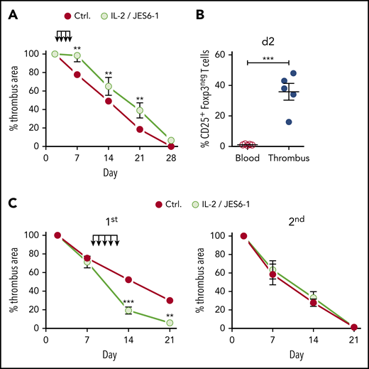 Therapeutic Treg expansion window. (A) Size development of thrombi in B6 mice injected with IL-2/JES 6-1 complexes at days 2 to 5 after IVC ligation. (B) Nonregulatory CD25+ T-cell frequencies in thrombi and blood at day 2, (n = 5 group). (C) Size development of thrombi in B6 mice injected with IL-2/JES 6-1 complexes at days 8 and 12 after primary IVC ligation and religated upon complete resolution of the primary thrombus. Mean results ± SEM are shown (n = 3; **P ≤ .005; ***P ≤ .0005). Statistical differences were tested using an unpaired Student t test (2 tailed).