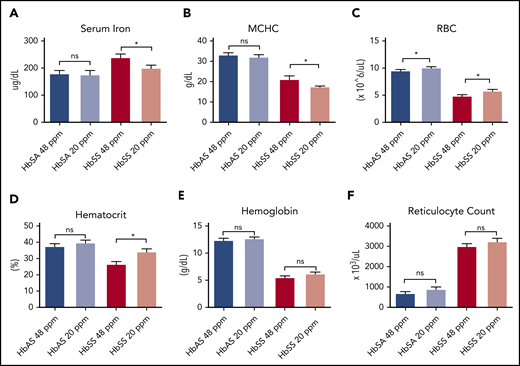 Iron restriction improves hematological parameters in Townes sickle mice. (A-E) Townes HbSS and trait HbAS mice weaned and maintained on either a 48- or 20-ppm iron diet for 8-10 weeks. Then serum iron (A), mean corpuscular hemoglobin concentrations (B), red blood cell counts (C), hematocrit (D), hemoglobin concentration (E), and reticulocyte count (F) were measured; n = 6-13 mice per group. Data represented as means ± standard error of the mean. *P < .05; ***P < .005; ****P < .001. ns, nonsignificant.