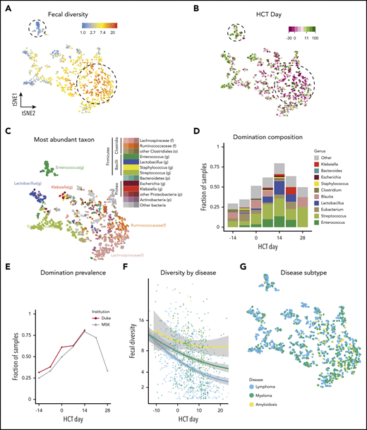 Characterization of patterns of injury to microbiota during auto-HCT. (A-C) Microbiota composition of 1161 samples from 534 patients visualized via the t-SNE algorithm. Each point represents a stool sample; those with more similar microbiota composition are clustered together. Dotted lines were manually annotated to highlight features of interest. (A) Higher diversity samples (red and yellow) are clustered away from lower diversity (blue and gray) samples. (B) The same t-SNE projection as in panel A is color coded by day of sample collection. Pretransplant samples (dark purple) cluster in the region of high-diversity samples, whereas samples from days −1 to 20 (light pink and light green) cluster in the low-diversity regions. Of note, some late samples (dark green) again cluster in the early pretransplant or high-diversity region. (C) The same t-SNE projection as in panels A and B is color coded by the most abundant taxon. This shows a cluster of samples with a preponderance of Enterococcus (dark green) in an area of low diversity. Bray-Curtis distances were calculated on operational taxonomic unit (OTU) abundances, and points were color-coded by higher taxonomic ranks as indicated in the color key. f, family; g, genus; o, order; p, phylum. (D) Domination was assessed at the OTU level; bars are color coded at the genus level according to the color key. (E) The fraction of samples with intestinal domination (defined as >30% relative abundance by any single OTU) was >50% by day 7 and was >75% by day 14. (F) Diversity was lower in patients with lymphoma than in those with myeloma or amyloidosis. (G) The same t-SNE projection as in panels A-C is color coded by underlying disease (lymphoma, myeloma, or amyloidosis). Samples did not cluster together significantly by underlying disease.