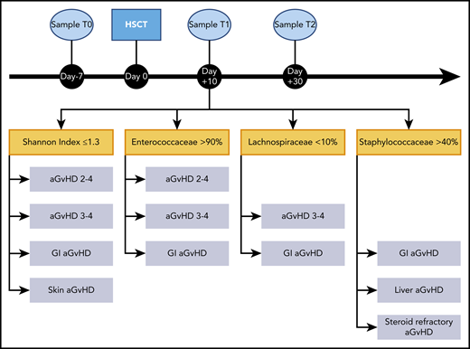 Sampling timeline and potential enteric microbiome biomarkers of acute GVHD. Sampling timeline (top). Microbiome samples were collected at 3 timepoints during the transplant course: before conditioning regimen (T0), during aplasia (T1), and after engraftment (T2). Focus on T1, showing details of the microbiome markers associated with the development of acute GVHD (bottom). In particular, low bacterial α-diversity, quantified by Shannon index, relative dominance by Enteococcaceae and Staphylococcaceae, and relative loss of Lachnospiraceae were correlated to acute GVHD, its severity, and organ localization. aGVHD, acute graft-versus-host disease.