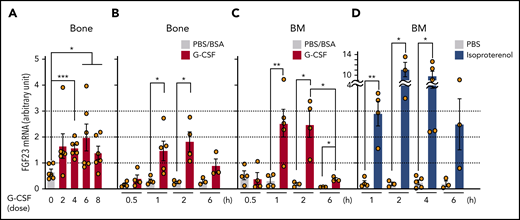 Expression of FGF-23 mRNA in bone and BM. (A-B) FGF-23 mRNA in bone tissue during G-CSF mobilization (A) (every 12 hours for 8 doses, harvested at 3 hours after each dose, n = 6) and after single-dose G-CSF (B) at the indicated hours (n = 3-5). (C-D) FGF-23 mRNA in BM cells after single-dose G-CSF (C) at the indicated hours (n = 3-5) and after single-dose isoproterenol (D) at the indicated hours (n = 3-5). Combined data of at least 3 independent experiments are shown. Data are means ± SEM. *P < .05; **P < .01; ***P < .001 (ANOVA).