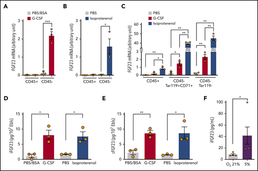 Expression of FGF-23 mRNA and protein in erythroblasts. (A-B) FGF-23 mRNA in sorted CD45+ or CD45− BM cells at 3 hours after single-dose G-CSF (A) or isoproterenol (B) (n = 3). (C) FGF-23 mRNA in sorted CD45+ BM cells or CD45−Ter119+CD71+ erythroblasts at 3 hours after single-dose G-CSF or isoproterenol (n = 3). (D-E) iFGF-23 (D) and cFGF-23 (E) protein levels in cell lysates of sorted CD45−Ter119+CD71+ erythroblasts at 2 hours after single-dose G-CSF or 1 hour after single-dose isoproterenol (n = 3). (F) iFGF-23 protein from the human erythroblast cell line HUDEP-2 after 4 hours of culture under the indicated oxygen conditions in the culture supernatants (n = 4-5). Combined data of at least 3 independent experiments are shown. Data are means ± SEM. *P < .05; **P < .01; ***P < .001 (ANOVA, Student t test, and Mann-Whitney U test). Ebls, erythroblasts.