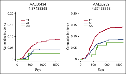 Cumulative incidence of osteonecrosis in patients with ALL according to NWD2 genotype. Cumulative incidence of symptomatic osteonecrosis (grade 2 or higher per the Common Terminology Criteria for Adverse Events, version 4) in children treated on AALL0434 (left) and AALL0232 (right). The T (major) allele at rs2973215 in NWD2 was associated with an increased risk of symptomatic osteonecrosis in both cohorts (hazard ratios of 4.1 and 1.57, respectively); patients with 2 copies of the minor A allele had the lowest risk of this toxicity.