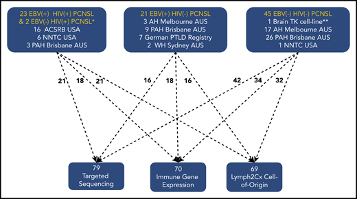 Consort diagram providing details of PCNSL subtype and sample testing performed. ACSRB, AIDS Cancer Specimen Resource Bank; AH, Austin Hospital; NNTC, NeuroAIDS National Tissue Collection; PAH, Princess Alexandra Hospital; WH, Westmead Hospital. *One of the 2 EBV− HIV+ PCNSL tissues underwent sequencing only, and both had COO. **Brain TK cell-line underwent targeted sequencing only.