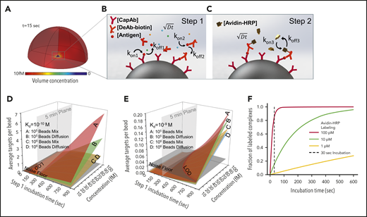 Finite element analysis of biomolecular interactions in the 2-step PEdELISA process. (A) Schematic of the theoretical sphere, namely the “reaction volume,” used for modeling work, whose quantity is equal to the total sample volume divided by the number of beads, assuming that the beads are evenly distributed in the buffer/sample solution. Reagent mass transport and binding kinetics are considered at the surface of a single magnetic bead placed in its center for one-half of the geometry due to symmetry. (B) Step 1: immune-complex formation process involving the conjugation between target antigen molecules, capture antibodies immobilized on the bead surface, and detection antibodies freely floating in the reaction volume. (C) Step 2: avidin-HRP labeling process involving the conjugation of avidin-HRP with the biotinylated detection antibodies. The average number of targets (ie, capture antibody-antigen-detection antibody immune-complexes) formed per bead, λ, is calculated as a function of the step 1 incubation time and the analyte concentration at Kd = 10−10 M (D) and Kd = 10−9 M (E). The model predicts that the PEdELISA readout linearly increases with the analyte concentration when λ is small (<0.1). By accounting for the experimentally obtained noise floor, the LOD value can be theoretically determined for a given value of the step 1 incubation time. (F) Predicted kinetics of the second step of the PEdELISA process. The fraction of the formation of HRP enzyme-labeled antibody-antigen-antibody immune-complexes is presented for 3 representative HRP concentrations (1 pM, 10 pM, and 100 pM).