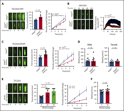 Platelet-specific PKM2-deficient mice were less susceptible to experimental arterial thrombosis. (A) The left panel shows representative microphotographs of carotid artery thrombus (5% FeCl3 injury) as visualized by upright intravital microscopy in male mice. Platelets were labeled ex vivo with calcein green; white lines delineate the arteries. The middle panel shows time to occlusion (n = 8 mice per group). The right panel shows the rate of thrombus growth (n = 8 mice per group). The rate of thrombus growth over a period of 8 minutes was calculated by dividing the area of the thrombus at the time (n) by the area of the same thrombus at the time (0) (defined as the time point at which the thrombus diameter first reached 30 μm). Slopes over time showed that the rate of thrombus growth in the PKM2fl/flPF4Cre+ mice (slope, 3.488) decreased compared with PKM2fl/fl mice (slope, 4.692). *P < .05. Two-way ANOVA with Tukey’s multiple comparisons test. (B) The left panel shows representative microphotographs of mesenteric artery thrombus (laser injury model) as visualized by upright intravital microscopy in male mice. The right panel shows mean fluorescence intensity over time (n = 10-12 vessels from 4 mice per genotype). *P < .05 compared with vehicle control. Mann-Whitney U test. (C) The left panel shows representative microphotographs of carotid artery thrombus (5% FeCl3 injury) as visualized by upright intravital microscopy in female mice. The middle panel shows time to occlusion (n = 10-11 mice per group). The right panel shows the rate of thrombus growth (n = 8 mice per group). Slopes over time showed that the rate of thrombus growth in the PKM2fl/flPF4Cre+ mice (slope, 2.723) decreased compared with PKM2fl/fl mice (slope, 5.175). *P < .05. Two-way ANOVA with Tukey’s multiple comparisons test. (D) Tail bleeding assay in male and female mice. The tail-transection bleeding time was determined as the time taken for the initial cessation of bleeding after transection. Each symbol represents a single mouse; n = 10 to 16 mice per group. Mann-Whitney U test. (E) The left panel shows representative microphotographs of carotid artery thrombus (5% FeCl3 injury) as visualized by upright intravital microscopy in male mice infused with vehicle or ML265. The middle panel shows time to occlusion, and the right panel shows the rate of thrombus growth. Slopes over time showed that the rate of thrombus growth in the ML265-pretreated mice (slope, 1.531) decreased compared with vehicle control (slope, 4.862). Values are expressed as ± SEM. n = 8 to 11 mice per group. *P < .05. Two-way ANOVA with Tukey’s multiple comparisons test. (F) Tail bleeding assay in male mice pretreated with vehicle or ML265. The horizontal bar shows the mean of each group ± SEM, n = 10 to 11 per group. Mann-Whitney U test. NS, not significant.