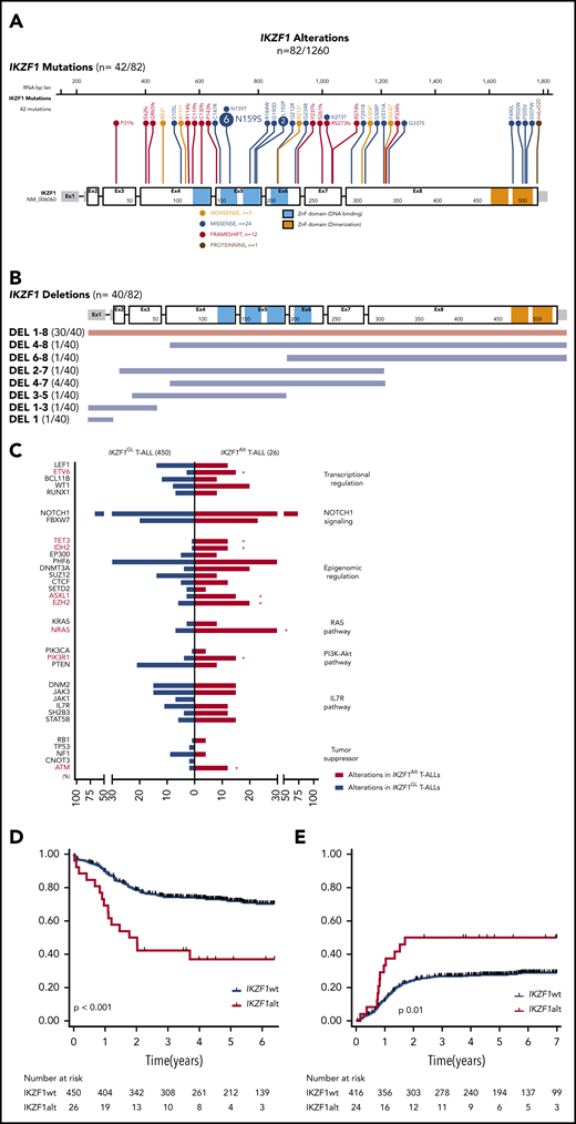 IKZF1 mutational and deletion patterns according to patient occurrence. (A) Gene map describing IKZF1 intragenic mutational patterns according to patient occurrence. (B) Gene map describing IKZF1 deletion patterns according to patient occurrence. (C) Genetic profiles of IKZF1Alt T-ALL in the FRALLE and GRAALL 03-05 protocols. Comparison of mutational profiles according to pathways between IKZF1Alt T-ALLs (n = 26) and IKZF1GL T-ALLs (n = 450), with a focus on alterations found in at least 5% of the whole cohort. Percent frequencies in each group are indicated. Genes are grouped according to functional categories. OS (D) and cumulative incidence of relapse (E) in FRALLE and GRAALL treated patients. *P < .05. IL7R, interleukin-7 receptor; PI3K-Akt, phosphatidylinositol 3-kinase/protein kinase B.