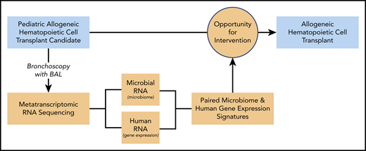 Study design. BAL fluid from pediatric HCT candidates underwent RNA sequencing (RNAseq), and results were correlated with patient outcomes. Bronchoscopy with BAL was performed prior to allogeneic HCT in children. Samples underwent metatranscriptomic RNAseq to identify parallel microbiome and gene expression signatures associated with post-HCT clinical outcomes. These data may inform future strategies to optimize pre-HCT pulmonary health to maximize post-HCT survival in children.