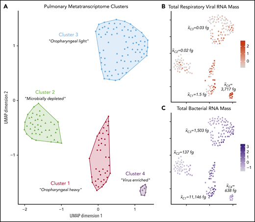 Pre-HCT pulmonary metatranscriptome clusters. Four distinct clusters of BALF samples were identified based on combined microbiome and gene expression data therein. (A) Hierarchical clustering of UMAP coordinates identified 4 groups of patient samples. Centered scaled total respiratory viral RNA mass (B) and total bacterial RNA mass (C) are overlaid on sample coordinates to demonstrate how microbiome characteristics vary across clusters. x̃Cn indicates the median mass of total respiratory viral RNA (B) or total bacteria (C) within each pulmonary metatranscriptome cluster.