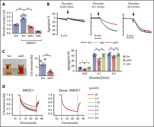 Interaction between SMOC1 and thrombin. (A) Thrombin activity in the presence of solvent (Sol) or recombinant human SMOC1 (rSMOC1) and in the absence and presence of antibodies directed against SMOC1 (abS1). The thrombin inhibitor dabigatran (Dab) was included as control; n = 3 to 7 independent experiments. ***P < .001, 1-way ANOVA and Bonferroni test. (B) Effect of a SMOC1 antibody (abS1; 0.625 ng/µL) on the thrombin-induced aggregation of washed human platelets. Immunoglobulin G (IgG) was included as control; n = 6 independent donors. *P < .05, **P < .01, 2-way ANOVA and Bonferroni test. (C) Thrombin-induced (0.1 U/mL) clot retraction in platelet-rich plasma (3 × 108 platelets per mL), in the presence of calcium (20 mmol/L) and 10 µL of erythrocytes to enhance the contrast of the clot. The clots were allowed to retract for up to 1 hour; n = 6 independent donors. ***P < .001, Student t test. (D) Microscale thermophoresis assay for the interaction between fluorescently labeled thrombin and recombinant SMOC1 or heat-denatured (Denat.) recombinant SMOC1 (0.1-20 µmol/L). The dotted lines indicate the beginning and the end of the laser pulse; n = 3 independent experiments. AU, arbitrary units.