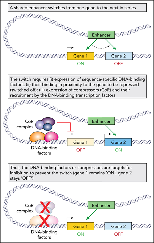 Bedside-to-bench investigation in the β-hemoglobinopathies has pioneered insights into fundamental mechanisms in biology (eg, coordinated, consecutive activation of a gene series). These discoveries have opened the door to rational, noncytotoxic methods of manipulating cell fates and functions (eg, by inhibiting corepressors) for the therapy mission in the β-hemoglobinopathies and beyond.
