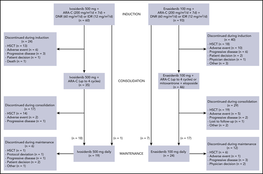 Disposition of the study population. ARA-C, cytarabine; DNR, daunorubicin; IDR, idarubicin.