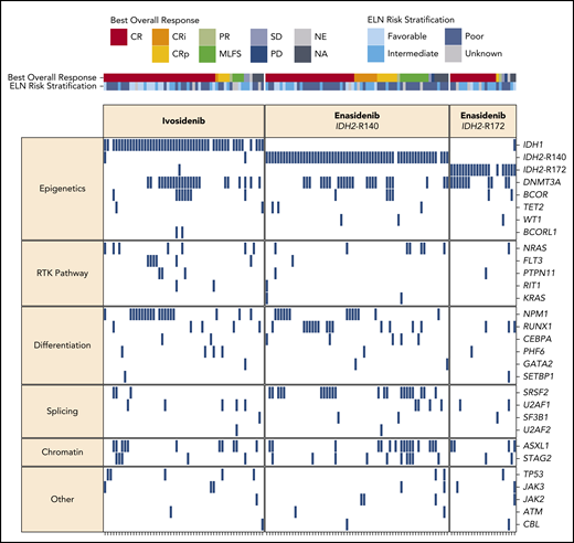 Baseline mutational landscape and best overall clinical responses. Each column represents an individual patient, organized by best overall response. Genes (rows) are grouped by biological pathway. A blue box indicates the detection of a known or likely oncogenic variant in at least 1 sample type (peripheral blood and/or bone marrow). NA, not assessed; NE, not evaluable; PD, progressive disease; RTK, receptor tyrosine kinase; SD, stable disease.