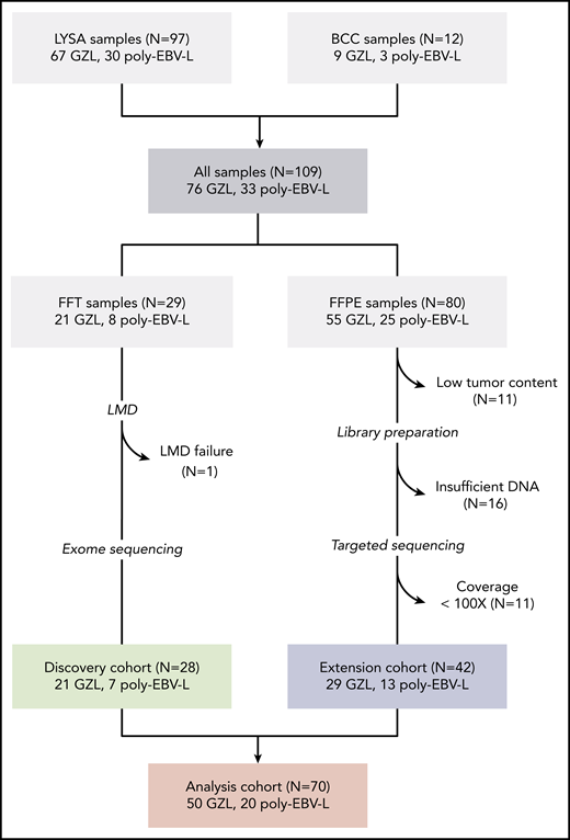 Flow chart of patient inclusion. Cases were centrally reviewed by a panel of LYSA and BC Cancer experts in hematopathology and medical oncology. Inclusion criteria for the GZL cases were based on World Health Organization classification; cases with a cHL-like morphology with strong and diffuse CD20 expression and other B-cell markers were also included (supplemental Methods). Cases with Epstein–Barr virus-encoded small RNAs (EBER) in situ hybridization positivity in >90% of tumor cells were diagnosed as poly-EBV-L. A total of 109 samples were collected, including 29 FFT biopsies submitted for laser microdissection (LMD) (“discovery cohort”) and 80 FFPE samples, of which 53 could be sequenced with a capture target panel of 217 genes (“extension cohort”). Eleven cases with coverage <100× were excluded to reduce false negative results related to low coverage.