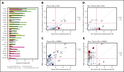 Comparison of GZL with pathologically related entities. (A) Bar plot showing the most recurrently affected genes within thymic and nonthymic GZL. The incidence of mutations in PMBCL and cHL is based on data from the literature. (B) Pairwise (Fisher’s exact test) comparison of the incidence of mutations within thymic GZL and cHL. The size of the bubble is inversely correlated with the P value. Significant results after FDR correction (q < 0.05) are colored in red. Full analysis is provided in supplemental Table 4. Pairwise (Fisher’s exact test) comparison of the incidence of mutations within thymic GZL and PMBCL (C), within nonthymic GZL and cHL (D), and within nonthymic GZL and PMBCL (E).