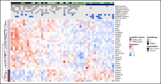 Integration of mutational data with PMBCL/DLBCL gene expression signatures. For 37 of the 42 group 1-2 GZLs in this cohort and 14 PMBCLs, RNA sequencing data have been reported previously.10 For each sample (columns), the heat map shows expression (normalized and log-transformed counts) of genes (rows) comprising the Lymph3Cx38 gene signature that distinguishes PMBCL from DLBCL (with PMBCL genes in light purple and DLBCL genes in dark purple). DLBCL-related genes and PMBCL-related genes formed 2 uniform clusters according to tumor cell expression patterns. For the mutation track, genes were selected based on their enrichment in thymic GZL (LRRN3, NFKBIE, TNFAIP3, GNA13, B2M) and nonthymic GZL (CREBBP, TP53, BCL2). Filled boxes (dark gray or blue) represent cases with mutations present, and light gray boxes represent no mutation.
