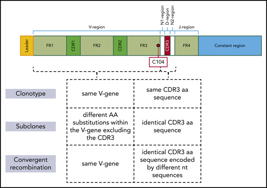 Definitions of immunogenetic variation at different levels.