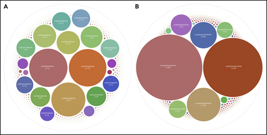 Inter-individual clonotype sharing. (A) Subset 2 heavy chains. All VH CDR3 detected in the subset 2 cohort are depicted by a bubble or dot. The size of the bubbles reflects the relative frequency of each clonotype based on the total number of reads encoding that particular clonotype across all samples. The VH CDR3 of some of the most expanded clonotypes within the entire cohort are stated in the corresponding bubble, and the number of patients sharing that particular clonotype is indicated in the brackets. Most of the expanded clonotypes are shared among different patients (the full list of the entire heavy chain subset 2 clonotypes is given in supplemental Table 8A; for the shared clonotypes, see supplemental Table 9) (B) IGLV3-21 light chains. The entire sequence data set of IGLV3-21 gene rearrangements with 12-aa-long VL CDR3 cohort is depicted. The size of the bubbles reflects the relative frequency of each clonotype based on the total number of reads encoding that particular clonotype across all samples. Some of the expanded clonotypes of the cohort are labeled, and the number of patients sharing that particular clonotype is indicated in the brackets. Most of the expanded clonotypes are shared among different patients (the full list of the entire LC IGLV3-21 with 12-aa-long clonotypes is given in supplemental Table 11A; for the shared clonotypes, see supplemental Table 12).
