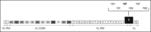 The G-to-R substitution at the VL-CL linker region is being degenerately encoded by different nucleotide sequences. One of the most frequent VL CDR3 of subsets 2 and 169 is depicted. The amino acids of the VL CDR3 region are enclosed in boxes of different shades of gray. The R residue at the VL-CL linker region is in a black box and can be encoded by 6 different nucleotide triplets. The prevailing triplet is set in bold. CL, constant light; FR, framework region.