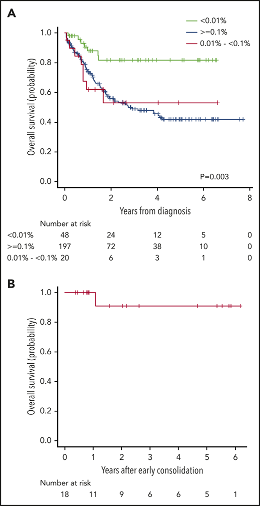 Overall survival according to the measurable residual disease level. (A) Overall survival according to MRD level on day 14 of induction. Green line denotes survival according to MRD level <0.01%, blue line indicates survival according to MRD level higher than or equal to 0.1% and red line denotes survival according to MRD levels between 0.01% and 0.1%. (B) Overall survival for patients with MRD levels <0.01% on day 14, end of induction, and end of early consolidation.