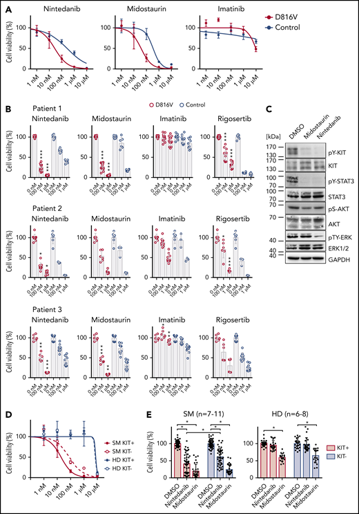 Compound testing on KIT D816V iPSC/ESC-derived hematopoietic cells and evaluation of effect of nintedanib on SM patient samples. (A) Drug response curves (0-10 μM) for nintedanib, midostaurin, and imatinib on KIT D816V (n = 1-4) and control (n = 2) iPSC-derived KIT+ hematopoietic cells from patient 1. IC50 values were calculated based on averaged titration curves obtained for cells derived from different iPSC lines. IC50 values for nintedanib were 27 to 105 nM for KIT D816V cells and 262 to 542 nM for control cells. (B) Averaged drug response ± standard deviation of KIT D816V and control iPSC-derived KIT+ cells treated with 100 nM or 1 μM nintedanib, midostaurin, imatinib, or rigosertib for 66 hours. Vehicle (DMSO)-treated cells were used as control (0 nM). Patient 1: n = 6-12. Patient 2: n = 3-9. Patient 3: n = 6-9. *P ≤ .05, **P < .001, ***P ≤ .0001, drug responses of KIT D816V vs control KIT+ cells at the same drug concentration, Welch’s t test. (C) Representative western blot analysis of KIT receptor signaling upon nintedanib or midostaurin treatment of KIT D816V iPSC–derived hematopoietic cells. Cells were treated with 1 μM compound for 4 hours prior to analysis. Vehicle (DMSO)-treated cells were used as control. Positions of molecular weight markers are indicated. (D) Nintedanib response curves (0-10 µM) for SM primary sample (patient 10) and a healthy donor (HD; n = 2). MNCs were subjected to MACS, and KIT+ and KIT− cells were treated with nintedanib for 66 hours, followed by viability measurement using a CellTiter Glo assay. Vehicle (DMSO)-treated cells were used as control. Nintedanib shows cytotoxicity to healthy donor cells only at concentrations closer to 10 µM, whereas cell viability is severely compromised at concentrations > 100 nM. (E) Averaged response of 7 to 11 SM primary samples and 6 to 8 HD primary samples to 1 µM nintedanib or midostaurin treatment. MNCs were treated as described in (D). Nintedanib treatment led to a significant decrease in the viability of KIT+ SM MNCs, whereas midostaurin targeted KIT+ and KIT− cells equally. Additionally, nintedanib did not have a significant impact on the viability of HD cells, in contrast to midostaurin, which led to a significant reduction in the viability of KIT+ and KIT− HD cells. *P ≤ .0003, Welch’s t test.