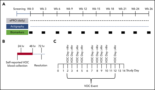 Schematic of study design. (A) Study design for the 6-month longitudinal analysis of SCD patients (with and without hydroxyurea therapy) to document the natural history of self-reported VOCs. This innovative at-home study design used the ePRO tool for self-reported daily pain, fatigue, function, and medication. Pain, functionality, fatigue, and medications were recorded by using the e-diary. Participants recorded their experience of pain crisis in a 24-hour recall period. The ePRO documented real-time self-reported VOC days that tracked the patient’s treatment decisions (at home vs emergency department or hospital). Blood samples for biomarkers and clinical laboratory tests were drawn by a mobile phlebotomist in the subject’s home every 3 weeks during non-VOC periods to establish longitudinal baseline values. Activity was monitored continuously throughout the study by using the Philips Actiwatch Spectrum. (B) Blood collections by mobile phlebotomists were triggered within 24 hours and 48 hours of self-reported VOCs, with follow-up collections 72 hours after the VOC resolution. These collections occurred at the subject’s home or at the medical facility where the subject sought treatment. Baseline, non-VOC samples were restarted 2 weeks after resolution of the VOC (if blood volume limits were not exceeded). (C) Depicted is an example of a VOC event. A VOC event was described as a sequence of VOC days that can also include intermittent days with no pain crisis. The VOC event resolves when there are no VOC days for 2 consecutive study days.