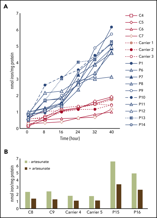 Iron overload in FRDA PBMCs limited by artesunate supplementation. (A) Iron content (at 8-hour intervals), determined by ferrozine-based colorimetric assay, of PBMCs from healthy donors (C4-C7), heterozygous carriers of FXN GAA expansions (carriers 1-3), and FRDA patients (P1, P6-P14) grown in high-iron medium (100 µM of FAC) for 40 hours (n = 1). (B) Iron content of PBMCs from controls (C8-9), heterozygous carriers of FXN GAA expansions (carriers 4-5), and FRDA patients with compound heterozygous FXN GAA expansions (P15-16) grown for 40 hours in high-iron medium (100 µM of FAC), with or without 25 µM artesunate (n = 1).