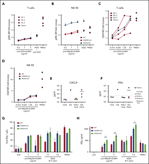 RhoG depletion does not affect lymphocyte activation nor cytokine production. (A) Graph comparing phosphorylated ERK1/2 in T cells upon stimulation with anti-CD3/hICAM1, anti-CD3–coated P815 cells, and PMA/I. Cells were analyzed by flow cytometry after intracellular staining with antibody recognizing phosphorylated ERK1/2 (Thr202/Tyr204). (B) ERK1/2 phosphorylation in WT and RHOG KO NK-92 cells upon stimulation. Analysis was performed similar to panel A. (C-D) Upregulation of CD69 on the surface of NK-92 and T cells upon stimulation with plate-bound Abs (anti-NKp30 or anti-CD3) and hrICAM1. The concentration of the titrated Ab is indicated on the x-axis. (E-F) Graphs show pathologically high levels of IFN-γ (E) and CXCL9 (IFN-γ–inducible chemokine) (F) in the plasma samples of the index patient (Pat) and healthy controls (father, mother, and shipment control, as indicated on the figure legend). Three samples from unrelated FHL3 patients (Pat FHL3) with active disease and corresponding controls (FHL3 Ctrl) were used for comparison. (G) Production of IFN-γ by WT and RHOG KO NK-92 cells upon stimulation with anti-NKp30+hrICAM1, K562 cells, and PMA/I. Cells were analyzed by flow cytometry after intracellular staining for IFN-γ. (H) Release of IFN-γ by WT and RHOG KO NK-92 cells measured 24 hours after stimulation by enzyme-linked immunosorbent assay in the culture medium. Data shown are representative of 2 independent experiments. P values were calculated using a multiple Student t test. *P < .05; **P < .01.