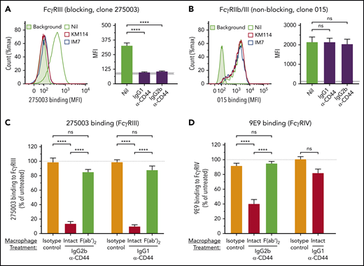 Anti-CD44 blocks the FcγR IgG binding site. The effect of anti-CD44 on macrophage FcγR expression and blockade of the FcγR IgG binding site was evaluated using blocking and nonblocking monoclonal antibodies to FcγRs. Macrophages were treated with anti-CD44 or controls for 30 minutes at 37°C, followed by washing, formaldehyde fixation, and addition of fluorescent anti-FcγR antibody. (A-B) Blocking and nonblocking anti-FcγRIII antibodies were used to distinguish FcγR blockade of the IgG binding site vs loss of FcγR expression. (A) Binding of a blocking FcγRIII-specific antibody (clone 275003) to macrophages that were treated or not (Nil) with IgG1 anti-CD44 (KM114) or IgG2b anti-CD44 (IM7). A representative line graph (left panel) and quantitation of 3 experiments (right panel) are shown. The gray shaded area (right panel) indicates the background fluorescence. Counts (%max) are counts expressed as a percentage relative to the mode (100%). (B) Binding of a nonblocking anti-FcγRIIb/III antibody (clone 015) to macrophages that were treated or not (Nil) with IgG1 anti-CD44 (KM114) or IgG2b anti-CD44 (IM7). A representative line graph (left panel) and quantitation of 3 experiments (right panel) are shown. The dotted line (right panel) indicates the background fluorescence. (C) The requirement of the CD44 antibody Fc region to block binding of the anti-FcγRIII antibody (275003 binding) was evaluated with unmodified anti-CD44 (Intact), anti-CD44 F(ab′)2 variants, or respective isotype controls (n = 3-8 experiments). The dotted line indicates the level of 275003 binding on untreated macrophages (100%). (D) Binding of an FcγRIV-blocking antibody (clone 9E9) after macrophage incubation with unmodified anti-CD44, anti-CD44 F(ab′)2 variants, or respective isotype controls (n = 3-5 experiments). The dotted line indicates the level of 9E9 binding on untreated macrophages (100%). The percentage of anti-FcγR antibody binding in (C) and (D) was calculated relative to fluorescent antibody MFI on untreated macrophages. Error: mean ± standard error of the mean. ****P < .0001, ***P < .001, *P < .05, 1-way analysis of variance with Tukey’s post hoc test. α-CD44, anti-CD44; MFI, mean fluorescence intensity.