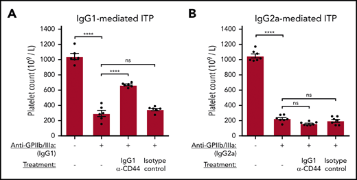 Anti-CD44 inhibits FcγR-mediated platelet clearance according to anti-GPIIb/IIIa IgG subclass in murine ITP. Passive antibody-mediated ITP was induced in C57BL/6 mice via IV tail vein injection using IgG1 anti-GPIIb/IIIa (clone MWReg30), which mediates thrombocytopenia through FcγRIII (A), or IgG2a anti-GPIIb/IIIa (clone 5C4), which mediates thrombocytopenia through FcγRs but is not dependent on FcγRIII (B). Anti-CD44 (α-CD44) or isotype control was administered IV by tail vein injection 30 minutes before anti-platelet antibody injection. Platelet counts were determined at 24 hours after anti-platelet antibody administration. Data are from 6 (A) or 7 (B) independent experiments with 1 mouse per experiment. Error: mean ± standard error of the mean (SEM). ****P < .0001, 1-way analysis of variance with Tukey’s post hoc test.