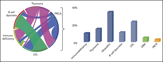 Common PRCA-associated disorders. Idealized circle plot showing PRCA and associated diseases according to our internal cohort of patients with PRCA, LGL, thymoma, and Good syndrome, and bar graph demonstrating frequencies of associations in our internal cohort of patients with PRCA. PB19, parvovirus B19.