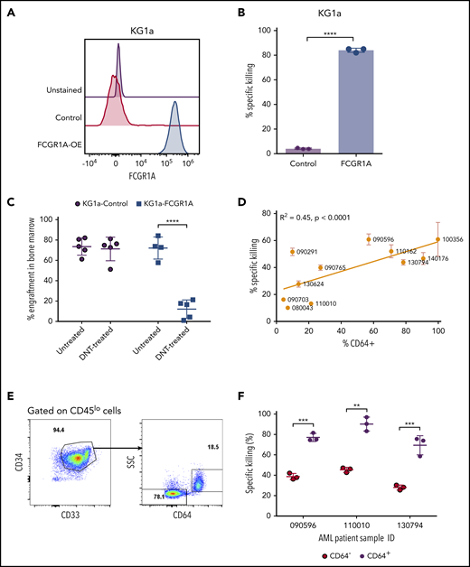 FCGR1A (CD64) expression on AML increases its sensitivity to DNTs. (A) CD64 expression in KG1a cells transduced with FCGR1A or a control vector. (B) Killing of the control or FCGR1A-overexpressing KG1a cells by DNTs at a 1:1 E:T ratio. This experiment was repeated 3 times with similar results, and a 2-tailed Student t test was used to examine differences. (C) NSG mice (4-5 per group) were engrafted with control or FCGR1A- overexpressing KG1a cells, followed by treatment with 3 doses of DNTs or phosphate-buffered saline (with interleukin-2) on days 1, 4, and 7 postinoculation of leukemic cells. Mice were euthanized when bone marrow engraftment of KG1a cells reached ∼70%. A 2-tailed Student t test was performed to determine statistical differences. (D) Eleven primary AML samples were cocultured with DNTs for 2 hours at an E:T ratio of 4:1 in triplicates. Scatterplot depicts the Pearson’s correlation coefficient for the mean killing of primary AML against the proportion of CD64+ cells. (E-F) In vitro cytotoxicity assay conducted against 3 primary AML samples (090596, 110010, and 130794) with CD64+ and CD64− leukemic blast populations at a 4:1 E:T ratio. (E) Representative flow plot showing gating strategy for leukemic subpopulations with or without CD64 expression. (F) Representative percentage of specific killing induced by DNTs from 1 donor. Two-tailed Student t tests were performed to detect statistical differences between the CD64− and CD64+ populations within each patient sample. This experiment was performed using DNTs expanded from 3 donors. **P < .01, ***P < .001, ****P < .0001.