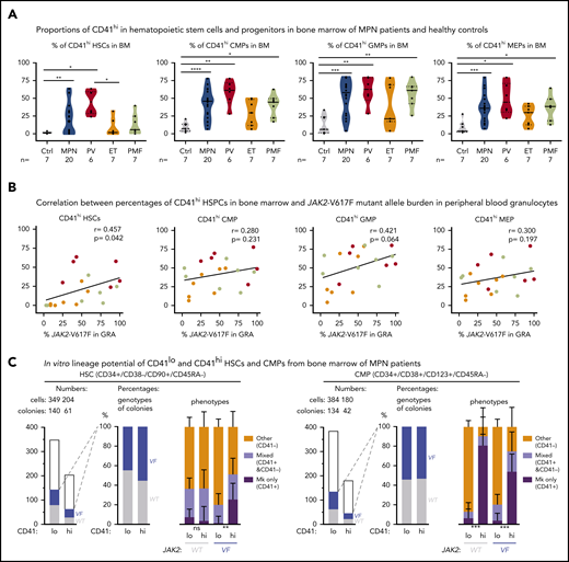 Increased abundance of CD41+ HSPCs in the BM of patients with MPN. (A) Violin plots showing percentages of CD41hi HSC, CMP, GMP, and MEP progenitor cells in the BM of controls (n = 7) and patients with MPN (n = 29). Unpaired t test with Welch’s correction. (B) Correlation (r, Pearson correlation) and significance (2-tailed Student t test) between mutant allele burden measured in PB granulocytes and percentages of CD41+ HSPCs in the BM were calculated and are shown for JAK2-V617F+ patients only. (r, Pearson correlation; P, 2-tailed Student t test). No correlation was observed in patients with the CALR mutation. (C) In vitro lineage potential of CD41lo and CD41hi HSCs and CMPs. FACS-sorted single cells were grown in 384-well plates, and, after 14 days of culture, colonies were first phenotyped inside the wells by CD41 antibody staining and live microscopy and then genotyped by allele-specific polymerase chain reaction (PCR)for JAK2-V617F. Combined data from 4 JAK2-V617F+ patients with MPN (2 PV and 2 PMF) are shown, along with the number of CD41lo and CD41hi single cells plated and the number of colonies with WT (gray) and JAK2-V617F (VF; blue) genotypes (left) and the percentages of VF vs WT colonies and the percentages of Mk colonies (all cells CD41+), mixed colonies (CD41+ and CD41− cells present in the same colony), and colonies with other phenotypes (all cells CD41− in the same colony) (right). Differences in lineage proportions between CD41lo and CD41hi populations were tested by Fisher’s exact test with the Hochberg correction for multiple testing. All data are means ± standard error of the mean; ns, not significant; *P < .05; **P < .01; ***P < .001; ****P < .0001.