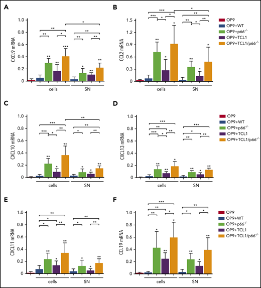 p66Shc deficiency enhances the ability of leukemic Eμ-TCL1 cells to promote the contact-independent expression of homing chemokines in stromal cells. qRT-PCR analysis of CXCL9 (A), CXCL10 (B), CXCL11 (C), CCL2 (D), CXCL13 (E), and CCL19 (F) mRNA in OP9 murine stromal cells kept in culture medium (OP9; n ≥ 6), cocultured with B cells purified from spleens of WT mice (OP9+WT; n = 3) or p66Shc−/− (OP9+p66−/−, n = 3) mice, cocultured with leukemic B cells purified from spleens of Eμ-TCL1 mice (OP9+TCL1; n ≥ 5) or Eμ-TCL1/p66Shc−/− mice (OP9+TCL1/p66−/−; n ≥ 6) with overt disease (cells), or with the respective conditioned media (SN). The relative gene transcript abundance was determined on triplicate samples using the dCt method and normalized to GAPDH. Data are mean ± standard deviation. ***P ≤ .001, **P ≤ .01, *P ≤ .05, 1-way analysis of variance, multiple comparison.