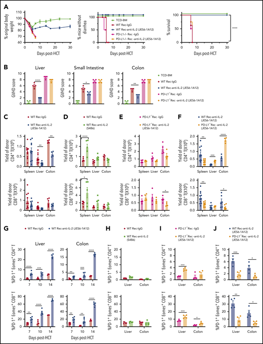 Prevention of aGVHD by tolerogenic anti–IL-2 mAb (JES6-1A12) requires PD-L1 expression by GVHD target tissues. Lethally irradiated WT or PD-L1−/− BALB/c recipients were given splenocytes (2.5 × 106) and TCD-BM cells (2.5 × 106) from C57BL/6 donors. Recipients (Rec) were given a total of 4 i.p. injections of rat-IgG, anti–IL-2 mAb (JES6-1A12), or anti–IL-2 mAb (S4B6) (500 µg/mouse) at days 0, 2, 4, and 6 after HCT. Recipients given TCD-BM cells (2.5 × 106) alone were used as controls. (A) Plots of percent original body weight, diarrhea, and percent survival are shown. n = 8 per group. Combined from 2 replicated experiments. (B) Mean ± standard error of the mean of histopathology scores of liver, small intestine, and colon are shown; n = 4 per group. Combined from 2 replicated experiments. (C-F) At day 6 after HCT, spleen, liver, and colon of recipients were harvested for analysis of donor CD4+ and CD8+ T-cell percentage and yield. Mean ± standard error of the mean of the percentage and yield of H-2Kb+TCRβ+ CD4+ or CD8+ T cells are shown; n = 4 to 11 per group. Combined from 2 to 3 replicated experiments. (G-I) Day 6 post-HCT, percentage of Eomes+PD1+ cells among donor CD4+ and CD8+ T cells in liver and colon of WT or PD-L1−/− recipients treated with anti–IL-2 mAb (JES6-1A12), anti–IL-2 mAb (S4B6), or control IgG; n = 4 to 5 per group. (J) Day 6 post-HCT, percentage of Eomes+PD1+ cells among donor CD4+ and CD8+ T cells in liver and colon of WT and PD-L1−/− recipients treated with anti–IL-2 mAb (JES6-1A12); n = 4 per group. Data represent mean ± standard error combined from 2 replicated experiments. P values were calculated by using the log-rank test (A), one-way analysis of variance (B), or two-way analysis of variance (C-J). *P < .05, **P < .01, ***P < .001, ****P < .0001.