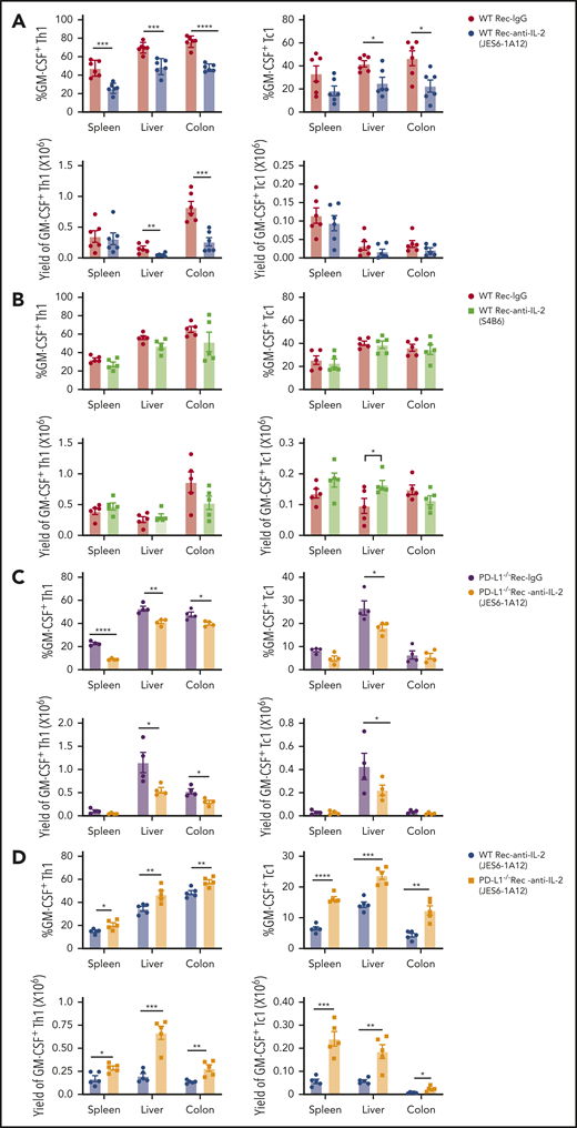 Prevention of GVHD by tolerogenic anti–IL-2 mAb (JES6-1A12) but not non-tolerogenic anti–IL-2 mAb (S4B6) is associated with tissue PD-L1–dependent depletion of GM-CSF–producing Th1 and Tc1 cells. Lethally irradiated WT and PD-L1−/− BALB/c recipients were given splenocytes (2.5 × 106) and TCD-BM cells (2.5 × 106) from C57BL/6 donors. Recipients were given a total of 3 i.p. injections of rat-IgG, anti–IL-2 mAb (JES6-1A12), or anti–IL-2 mAb (S4B6) (500 µg/mouse) at days 0, 2, and 4 after HCT. On day 6, donor cells in the spleen, liver, and colon were analyzed for cytokine profile. (A-B) Percentage and yield of GM-CSF+ cells among donor IFN-γ+ CD4+ and CD8+ T cells in spleen, liver, and colon of WT recipients treated with anti–IL-2 mAb (JES6-1A12 or S4B6) or control IgG. (C) Percentage and yield of GM-CSF+ cells among donor IFN-γ+ CD4+ and CD8+ T cells in spleen, liver, and colon of PD-L1−/− recipients treated with anti–IL-2 mAb (JES6-1A12) or control IgG; n = 4 per group. (D) Percentage and yield of GM-CSF+ cells among donor IFN-γ+ CD4+ and CD8+ T cells in spleen, liver, and colon of WT or PD-L1−/− recipients treated with anti–IL-2 mAb (JES6-1A12); n = 5 per group. Data represent mean ± standard error combined from 2 replicate experiments. P values were calculated by using unpaired two-tailed Student t tests. *P < .05, **P < .01, ***P < .001, ****P < .0001.