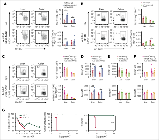 Prevention of aGVHD by tolerogenic anti–IL-2 mAb (JES6-1A12) but not non-tolerogenic anti–IL-2 mAb (S4B6) requires PD-L1–dependent expansion of Tr1 cells. (A-E) Lethally irradiated WT or PD-L1−/− BALB/c recipients were given splenocytes (2.5 × 106) and TCD-BM cells (2.5 × 106) from C57BL/6 donors. Recipients were given a total of 3 i.p. injections of rat-IgG or anti–IL-2 mAb (JES6-1A12 or S4B6) (500 µg/mouse) at days 0, 2, and 4 after HCT. Day 6 after HCT, donor-type T cells from liver and colon were analyzed for Tr1 cells. (A-B) Representative staining pattern with percentage and yield of donor IL-10+ Foxp3– CD4+ T cells in liver and colon of WT recipients treated with anti–IL-2 mAb (JES6-1A12 or S4B6) or control IgG; n = 5 per group. (C) Representative staining pattern with percentage and yield of donor IL-10+ Foxp3– CD4+ T cells in liver and colon of PD-L1−/− recipients treated with anti–IL-2 mAb (JES6-1A12) or control IgG; n = 4 per group. (D-E) Blimp-1 and Eomes expression of donor CD4+ T cells in liver and colon of WT recipients treated with anti–IL-2 mAb (JES6-1A12 or S4B6) or control IgG; n = 4 per group. (F) Blimp-1 and Eomes expression of donor CD4+ T cells in liver and colon of PD-L1−/− recipients treated with anti–IL-2 mAb (JES6-1A12) or control IgG; n = 4 per group. (G) Lethally irradiated WT BALB/c recipients were given T cells (1.0 × 106) from WT or IL-10−/− C57BL/6 donors and TCD-BM cells (2.5 × 106) from WT C57BL/6 donors. Recipients were given a total of 4 i.p. injections of anti–IL-2 mAb (JES6-1A12) (500 µg/mouse) at days 0, 2, 4, and 6 after HCT. Plots of percent original body weight, diarrhea, and survival are shown. n = 8 per group. Data represent mean ± standard error combined from 2 replicate experiments. P values were calculated by using two-way analysis of variance (A-F) or log-rank test (G). *P < .05, **P < .01, ***P < .001, ****P < .0001. MFI, mean fluorescence intensity.