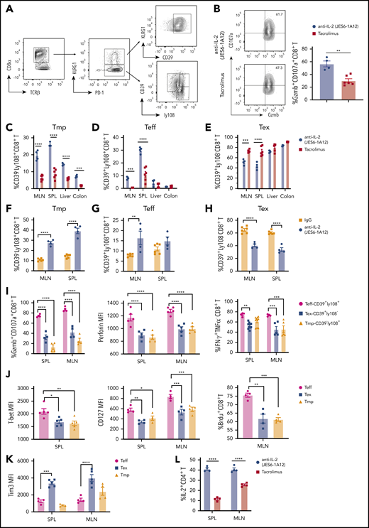 Tolerogenic anti–IL-2 mAb (JES6-1A12) preserves CD8+ Tmp and functional effectors that mediate GVL activity in lymphoid tissues more effectively than TAC. Lethally irradiated WT BALB/c recipients were given splenocytes (2.5 × 106) and TCD-BM cells (2.5 × 106) from C57BL/6 donors. Recipients were given a total of 4 i.p. injections of anti–IL-2 mAb (JES6-1A12) (500 µg/mouse) at days 0, 2, 4, and 6 after HCT, or once-daily i.p. injections of TAC (0.75 mg/kg) at days 0 to 6 after HCT. On day 7 after HCT, mesenteric lymph node (MLN), spleen (SPL), liver, and colon were harvested for analysis. (A) Representative pattern of gating strategy in recipients given anti–IL-2 treatment. (B) Representative flow cytometry pattern showing the expression of granzyme B and CD107a on CD8+ T cells and percentage of CD107a+granzymeB+ CD8+ T cells in the SPL from IL-2 mAb– or TAC-treated recipients are shown; n = 4 to 6, combined from 2 experiments. (C-H) Percentage of Tmp (CD39–Ly108+), Teff (CD39+Ly108+), and Tex (CD39+Ly108–) among donor CD8+ T cells in MLN, SPL, liver, and colon of WT recipients treated with anti–IL-2 mAb (JES6-1A12), TAC, or control IgG; n = 4-6 per group. (I) Percentage of granzymeB+CD107a+ CD8+T, IFN-γ+ CD8+T cells and mean fluorescence intensity (MFI) of perforin among Teff, Tex, and Tmp in SPL and MLN of WT recipients treated with anti–IL-2 mAb (JES6-1A12). n = 4-6 per group. (J-K) Expression of T-bet, CD127, 5-bromo-2′-deoxyuridine (BrdU), and Tim3 on Teff, Tex, and Tmp in SPL and MLN of WT recipients treated with anti–IL-2 mAb (JES6-1A12). n = 4 to 6 per group. (L) Percentage of IL-2+ CD4+ T cells in SPL and MLN of WT recipients treated with anti–IL-2 mAb (JES6-1A12) or TAC. n = 4 per group. P values were calculated by unpaired two-tailed Student t tests, one-way analysis of variance, or two-way analysis of variance. *P < .05, **P < .01, ***P < .001, ****P < .0001.