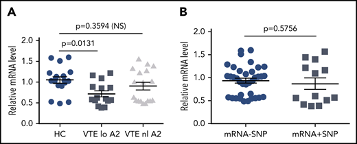 Relative annexin A2 mRNA levels. mRNA was isolated from PBMCs as described in “Methods” and analyzed by quantitative RT-PCR. (A) mRNA levels were stratified according to normal (n = 6) or low A2 protein expression (n = 5), defined as below the 10th percentile for all subjects, and compared with mRNA levels in HCs (n = 6). All samples were run in triplicate. (B) mRNA levels were stratified according to the presence or absence of the 5-SNP cluster. Shown in panels A and B are mean relative mRNA levels ± SEM.