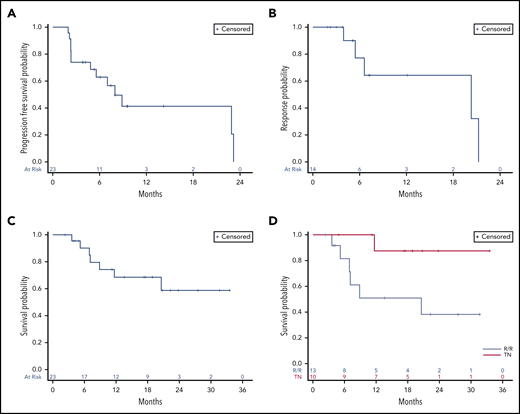 Time-dependent outcomes. (A) PFS, (B) DOR, and (C) OS for all patients. (D) OS for treatment-naïve (TN) patients and for those with R/R disease.
